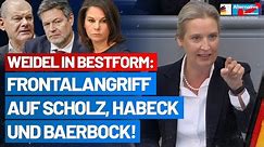 Alice Weidel rechnet mit den Deutschland-Hassern von der Regierung ab! - AfD-Fraktion im Bundestag