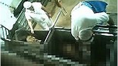 Shocking footage from inside an Australian abattoir