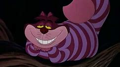 Cheshire Cat - I'm Odd