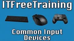 Common Input Devices