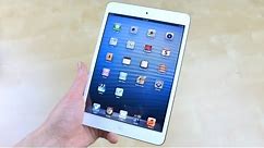 iPad mini Review!