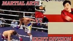 🥋 martial arts vs boxing 🥊