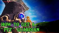 How to Get a Pet Guardian - The Legend of Zelda: Breath of the Wild