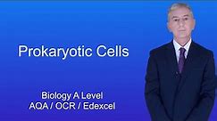 A Level Biology Revision "Prokaryotic Cells".