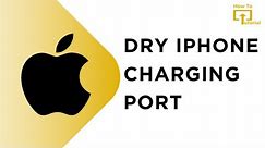 How to Dry an iPhone Charging Port! (2024)