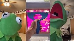 Funniest Kermit The Frog Tiktok Videos Compilation 2023
