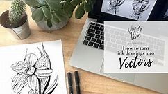 How To Quickly Turn Ink Drawings Into Vectors Using Photoshop & Illustrator | Step by Step Tutorial