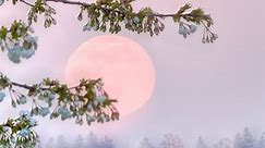 The rise of the Pink Moon on April 5-6