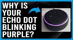 Why Is Your Echo Dot Blinking Purple? (How To Stop Echo Dot Blinking Purple)
