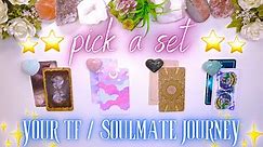 Who Is Your TF/Soulmate & What Is Your Journey? (Full Reading)