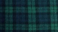 FabricLA 100% Cotton Flannel Fabric - 58/60" Inches (150 CM) - Cotton Tartan Flannel Fabric - Use as Blanket, PJ, Shirt, Cloth Flannel Craft Fabric - Blue & Green, 10 Continuous Yard