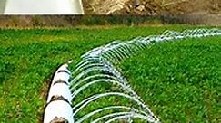 Drip Irrigation Techniques #furrowirrigation #dripirrigationsystem #waterirrigation #smartirrigation #savewater | நவீன உழவன் - Naveena Uzhavan