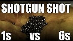Shotgun Shot: size 1s vs size 6s