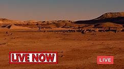 NASA Live Stream | First Satellite on Mars - Live Stream