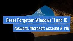 Reset Forgotten Windows 11 and 10 Password, Microsoft Account and PIN Without any Software