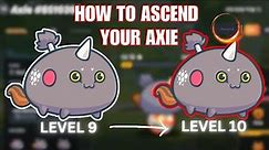 HOW TO ASCEND YOUR AXIE? AND TO BUILD AXIE TEAMS FOR CLASSIC? / MUST WATCH..