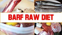 Easy Homemade DIY BARF Raw Food Diet for Your Dog