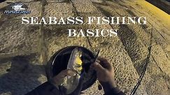 SEABASS FISHING - BASICS (Ribolov brancina - osnove)