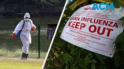 First human case of bird flu reported as egg farm goes into lockdown