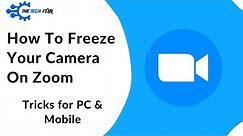 How to Freeze Your Camera on Zoom? 2 Tips for PC and Mobile?