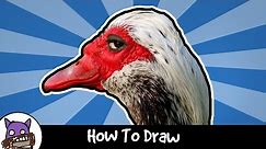 ✐ How To Draw - Shady Bird Meme ✐