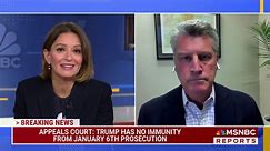 'No person is above the law' Tim Heaphy on Appeals Court rejection of Trump's immunity