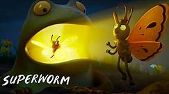 The Bugs are On the Search for the Wizard Lizard @GruffaloWorld: Superworm