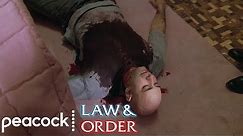 Are The Murders Related? - Law & Order