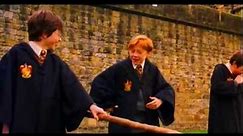 Funny Weasley Scene #19 | Ron gets whacked!