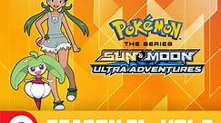 Pokémon the Series: Sun & Moon - Ultra Adventures Season 2102 Episode 1 Let Sleeping Pokémon Lie!