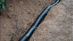 Amerimax Home Products FLEX Drain Pro 4 in. x 100 ft. Black Copolymer Perforated Drain Pipe HP4100P