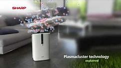 Sharp Plasmacluster Air Purifiers review