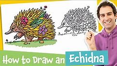 How to Draw an Echidna – Kids Drawing Lesson! (Easy)