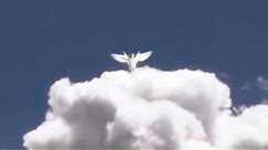 15 Angel Sightings That Will Convince You They Are Real!