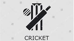 Professional Vector Cricket Icon Cricket Symbol Stock Vector (Royalty Free) 1551157520 | Shutterstock