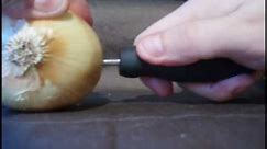 How to Charge an iPod using electrolytes and an onion