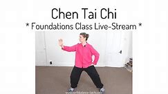 Chen Tai Chi Foundations / Jibengong Class Live Stream Time-Lapse