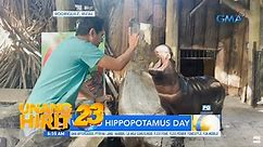 World Hippopotamus Day celebration with Sparkada! | Unang Hirit