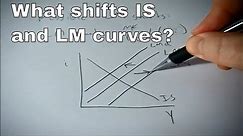 What shifts the IS or LM curves