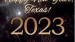 Happy New Year, Texas! | Bryan Hughes