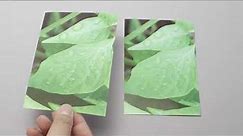 Selecting The Right Photo Paper