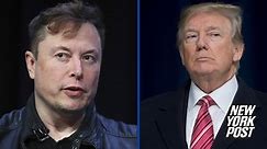 Elon Musk taunts Trump with crude meme about Twitter 'temptation'