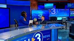 News anchor stunned by on-camera proposal