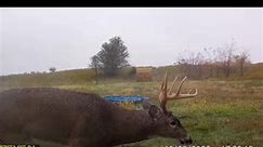 Any guesses on age of this great looking buck? Redneck Hunting Blinds hay bale blind! #new #reels #bigbuck #deer #deerhunting | KOAM Outdoors LLC