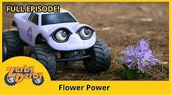 Zerby Derby - FLOWER POWER | Zerby Derby Full Episodes Season 1 | Kids Cars