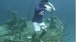 198_My soul would leave my body 🎥 rayceeroo #shipwreck #haunted #ship #sealife #scubadiving #freediving #shark | getlostwebsite