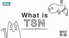 【科普】什么是TSN？