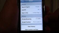 How to FULLY clear your browsing history on iPhone, iPod, and iPad [Captions Included]