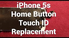 IPhone 5s Home Button Touch ID Replacement How To Change