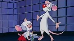 best of Pinky and the Brain Christmas